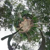 Hotel y Temazcal en Solferino