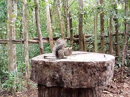 Hotel y Temazcal en Solferino