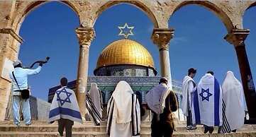 Peaceful  Windows of Jerusalem