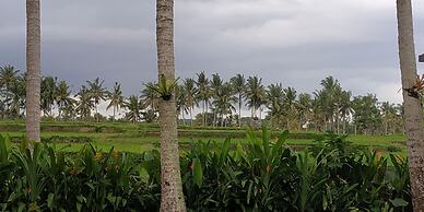 Anggira Villa Ubud