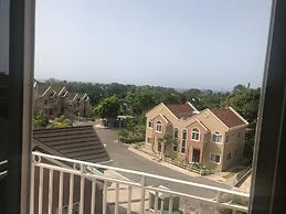 Tropical Luxury Dreams