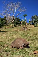 La Hacienda Old Grand Port Mauritius
