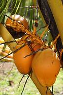 La Hacienda Old Grand Port Mauritius