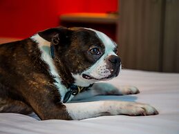 Ibis Styles Glasgow Central