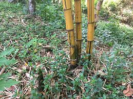 The Creek Garden Resort Huainamrin