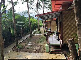 Khaosok Bamboo Huts Resort