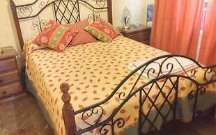 Lubina | 4 Pax | First Line | 2530-AW