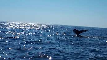 Hillside Landing B&B