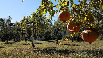 Village Camping Fico d'India