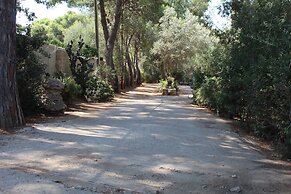 Village Camping Fico d'India