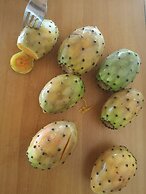 Village Camping Fico d'India