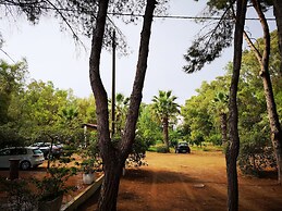 Village Camping Fico d'India