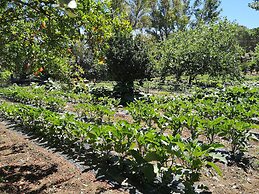 Village Camping Fico d'India