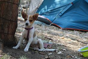 Village Camping Fico d'India