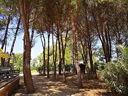 Village Camping Fico d'India