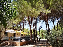 Village Camping Fico d'India
