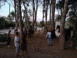 Village Camping Fico d'India