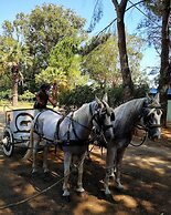 Village Camping Fico d'India