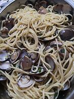 Village Camping Fico d'India