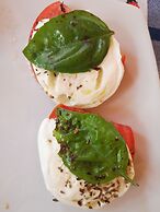 Village Camping Fico d'India