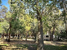 Village Camping Fico d'India