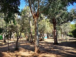 Village Camping Fico d'India