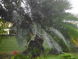 Mama's Villa by Taprobane - Hostel