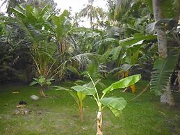 Mama's Villa by Taprobane - Hostel