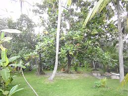 Mama's Villa by Taprobane - Hostel