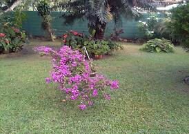 Mama's Villa by Taprobane - Hostel