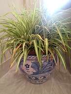 Apartamentos AS Málaga Centro Histórico