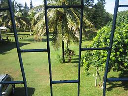 Chez Paul Ambodiatafana