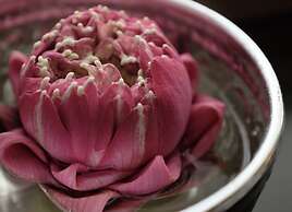 1905 Heritage Corner