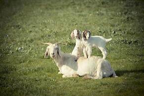 Sanctuary Park Cottages