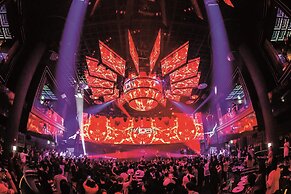 Art Paradiso, Paradise City