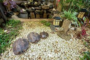 Hilltop Pool and Villa