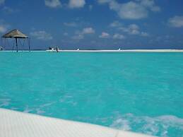 Maldives Dive Loabi