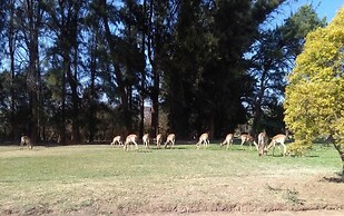 Sir Nick's Livingstone Lodge