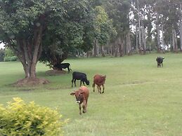 Sir Nick's Livingstone Lodge