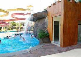 Suíte Golden Dolphing