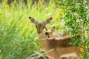 San Lameer Villa Rentals 3704