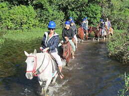 Pousada São João - Estrada Parque Pantanal