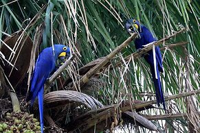 Pousada São João - Estrada Parque Pantanal