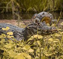 Pousada São João - Estrada Parque Pantanal