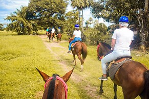 Pousada São João - Estrada Parque Pantanal