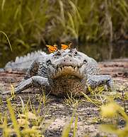 Pousada São João - Estrada Parque Pantanal