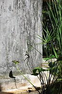 Verde Morada Hotel Encuentro