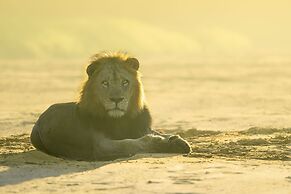 Rhino Sands Safari Camp