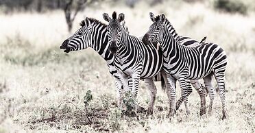 Rhino Sands Safari Camp