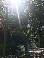 Muine Sunlight Villa